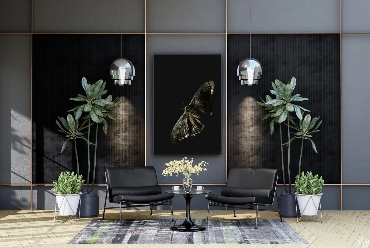 Création de photo pour décorer une salle d'accueil